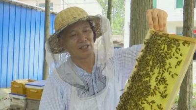 六合垸管理区：黄发选的“甜蜜”事业