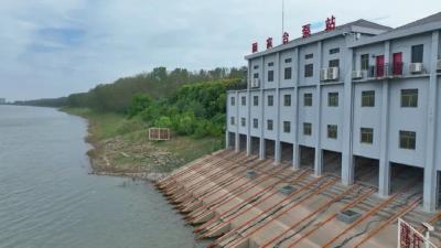 能引则引、能提则提！江陵引水灌溉保丰收