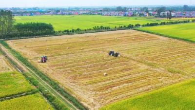 县储备粮食有限公司：多点发力 探索秸秆综合利用新路子