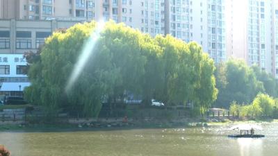 江陵：根治一条河 深植一片绿