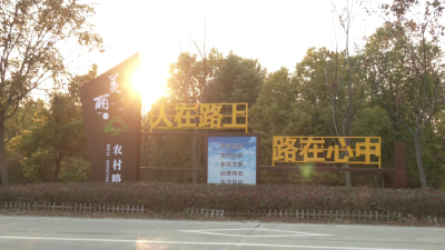 江陵：全力打造最优农村公路交通环境