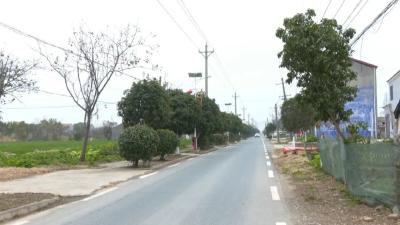 秦市乡：示范引领 全域焕新