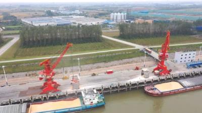 建功支点建设 加快乘势跃升丨江陵：全力打造江汉平原粮食应急保障基地