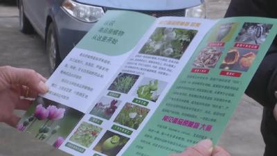 天上飞，地上巡，入户宣，让它无处藏身！