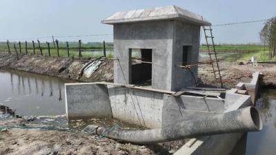筑牢“耕”基，江陵这里高标准农田建设5月底完工