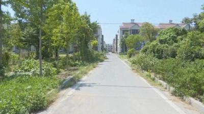 预计9月中旬完工！郝穴镇大兴村环境整治焕新颜