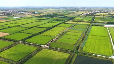 数字公益暖人心，秦市乡让每一份爱心落到实处