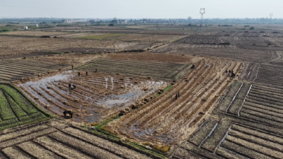 【干部素质提升年·江陵进行时】青春力量沉下去 乡村沃土活起来