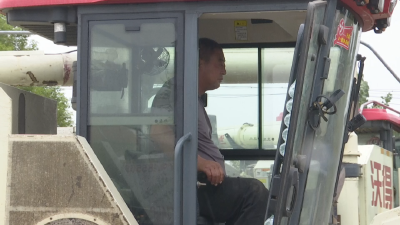 从登记到收割一条龙！资市8个“临时服务点”让“歇脚”不用愁