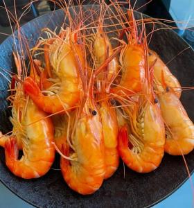 熊河罗氏虾“收官之战”！一口鲜掉眉，错过等明年～