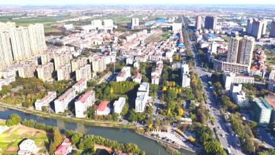 讲文明树新风丨县公安局：织密