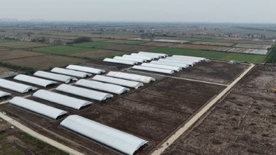 熊河镇花兰村蛋鸭“住新家”，预计12月正式交付使用