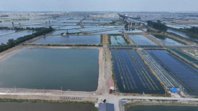 借政策东风，秦市乡黄鳝养殖“乘风破浪”再出发！