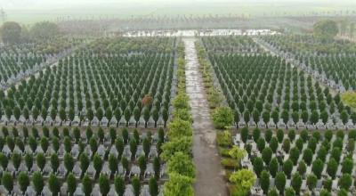 我为群众办实事丨江陵：打造平原地区殡葬服务样板