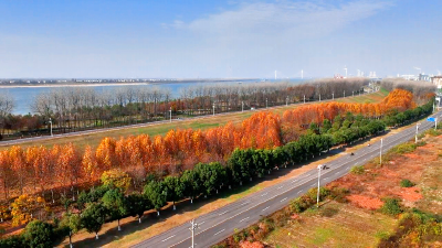 大雪未赴雪，却赠江陵别样温柔