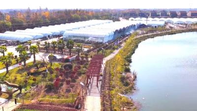  一泓清流激活乡村脉动——熊河镇熊彭村以生态治理促产业振兴