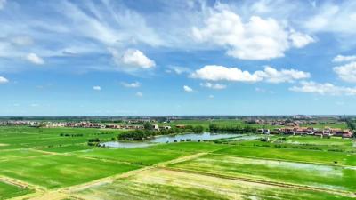 勇当先锋 跨越开局 ⑤丨江陵：城乡并进促融合 万象更新绘蓝图