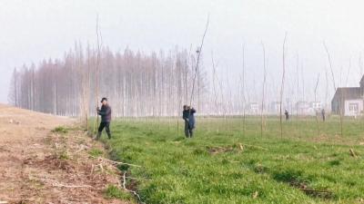 “生态哨兵” 守护江陵 66 公里长江岸线