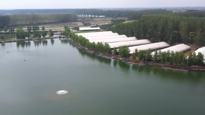  江陵：深耕沃土“三农”兴