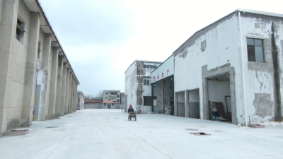 新春走基层丨天益农科油菜产业项目：加快施工 确保五月底竣工投产