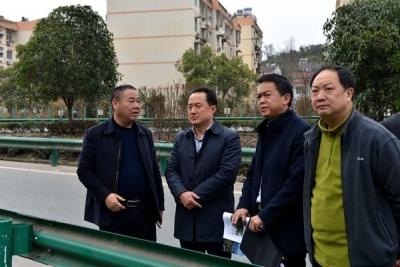 区委书记卢斌督办高速公路沿线环境卫生整治工作