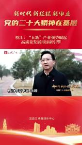 枝江：“五新”产业强势崛起，高质量发展再添新引擎