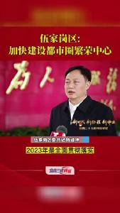 伍家岗区：加快建设都市圈繁荣中心
