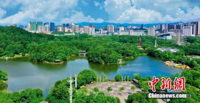 【聚焦干部素质提升年】俯身接地气 实干长才气 ——嘉鱼一线锻造青年铁军