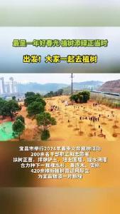宜昌市举行2024年春季义务植树活动
