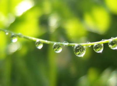 在雨停歇的时候