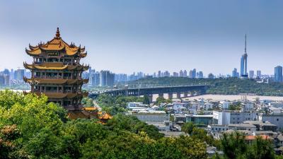 王忠林宣布2025年一季度全省重大项目集中开工  