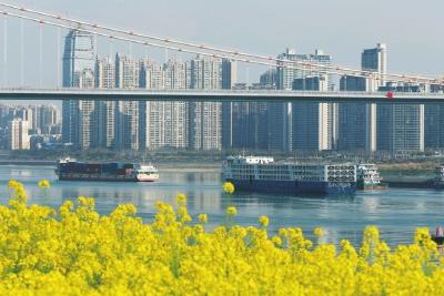 “赏花游”激活“春日经济”  