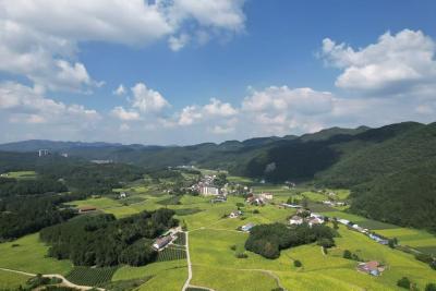 兴山：一个山区亿元村的共富密码  