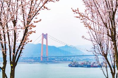 长江岸线绘新景