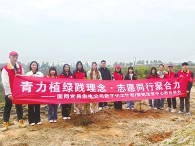 宜昌各地掀起义务植树热潮