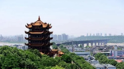王忠林会见离退休干部暨老干部工作先进集体和先进个人代表 弘扬光荣传统 永葆政治本色 为支点建设贡献“银发力量”  