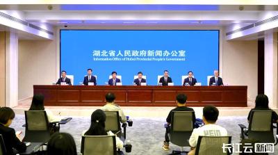 整体提升支点创新策源力湖北怎么干？  
