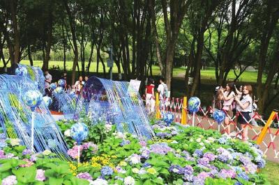 宜昌市第四届运河公园绣球花节启幕