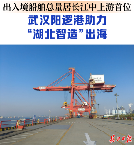 江海直达、 铁海联运，武汉都市圈密织出海通道
