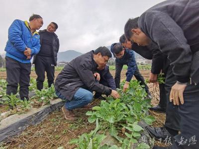身边榜样 | 山河耕读十三春 阡陌深处有回响——记华中农业大学“硒望·农情”帮扶建始县团队