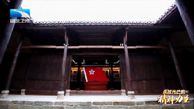 永放光芒的精神力量 | 弘扬三大精神 奋力建成支点：传承大别山精神 支点建设不胜不休  