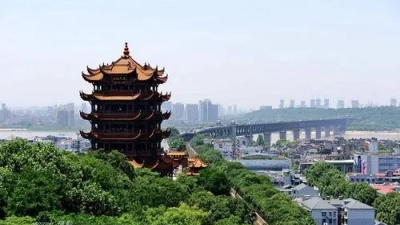 王忠林主持研究推进“干部素质提升年”工作 锻造堪当支点建设重任的高素质干部队伍  