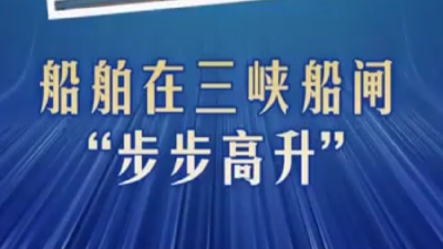 外交部发言人毛宁点赞湖北这里！  