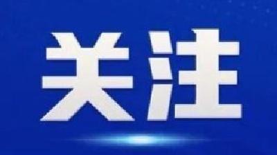 聚焦2025世界数字教育大会 | 我国数字化教育成果在汉集中亮相