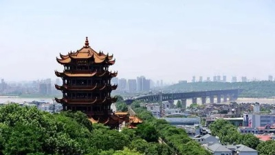 王忠林在武汉调研时强调 持续深化群众身边不正之风和腐败问题集中整治 不断提升群众获得感幸福感安全感  