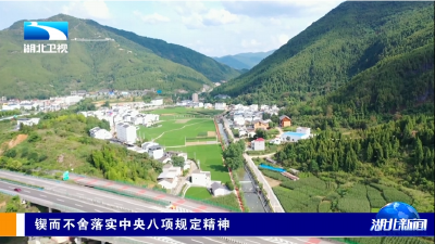 锲而不舍落实中央八项规定精神丨咸宁通山：畅通“微监督” 把问题解决在田间地头  