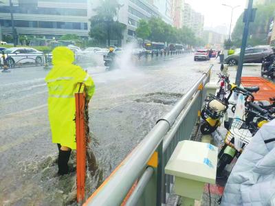 宜昌园林部门奔赴抢险一线 624人清理576处倒伏树木  