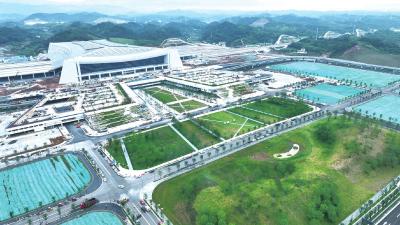 新绿初绽