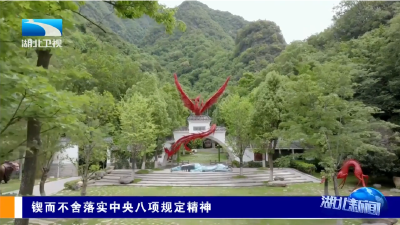 锲而不舍落实中央八项规定精神丨襄阳保康：一企一策解难题 以学习教育成效促发展  