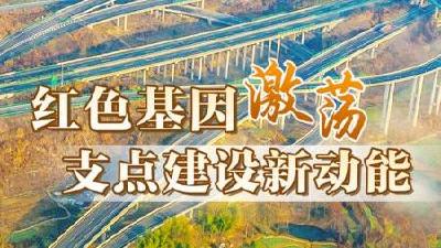 弘扬三大精神，湖北日报连发3篇专题报道  